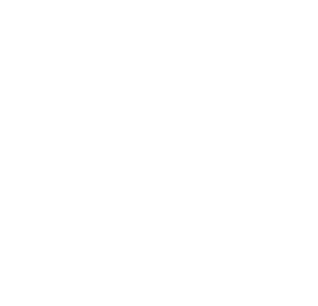 Zirve Hikayesi